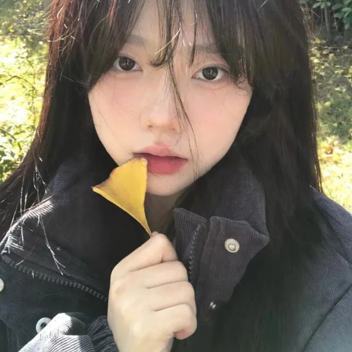 我的天才女友第二季